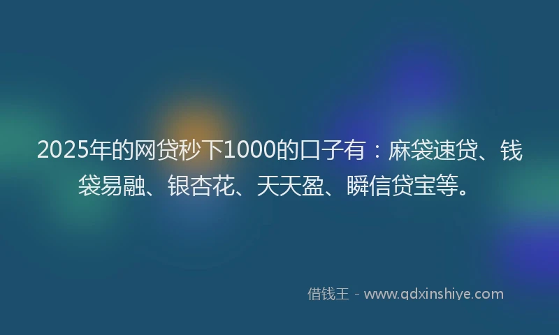 2025年的网贷秒下1000的口子有：麻袋速贷、钱袋易融、银杏花、天天盈、瞬信贷宝等。