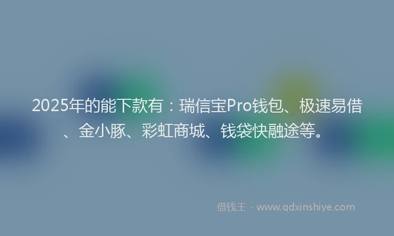 2025年的能下款有：瑞信宝Pro钱包、极速易借、金小豚、彩虹商城、钱袋快融途等。