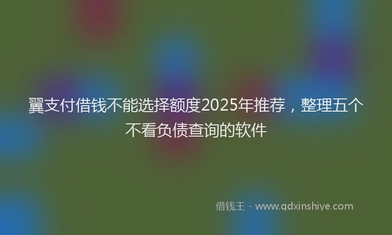 翼支付借钱不能选择额度2025年推荐，整理五个不看负债查询的软件