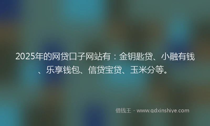 2025年的网贷口子网站有：金钥匙贷、小融有钱、乐享钱包、信贷宝贷、玉米分等。