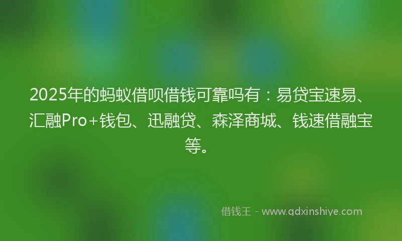 2025年的蚂蚁借呗借钱可靠吗有：易贷宝速易、汇融Pro+钱包、迅融贷、森泽商城、钱速借融宝等。