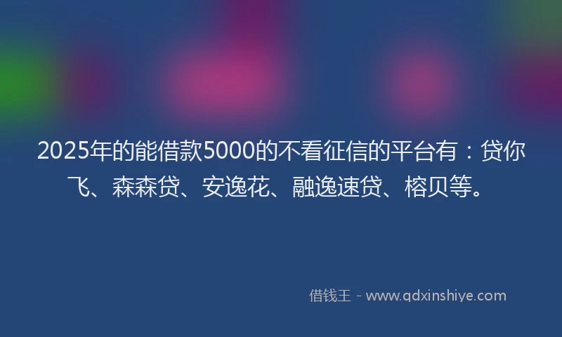 2025年的能借款5000的不看征信的平台有：贷你飞、森森贷、安逸花、融逸速贷、榕贝等。