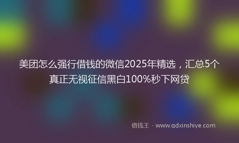 美团怎么强行借钱的微信2025年精选，汇总5个真正无视征信黑白100%秒下网贷