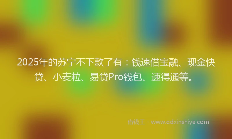2025年的苏宁不下款了有：钱速借宝融、现金快贷、小麦粒、易贷Pro钱包、速得通等。
