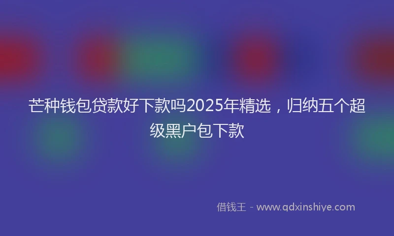 芒种钱包贷款好下款吗2025年精选，归纳五个超级黑户包下款