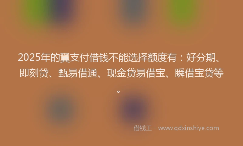 2025年的翼支付借钱不能选择额度有：好分期、即刻贷、甄易借通、现金贷易借宝、瞬借宝贷等。