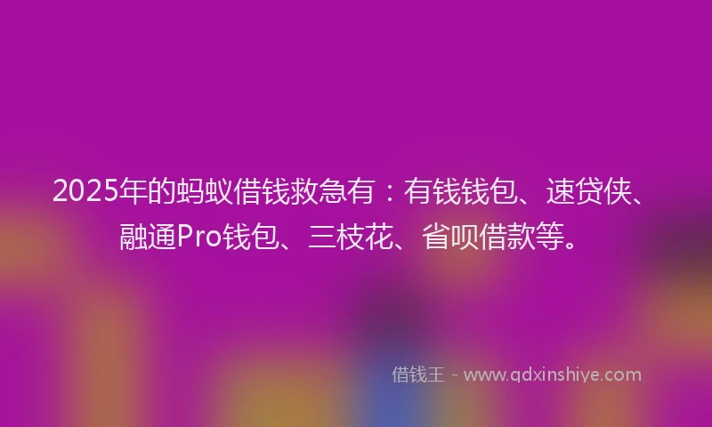 2025年的蚂蚁借钱救急有：有钱钱包、速贷侠、融通Pro钱包、三枝花、省呗借款等。