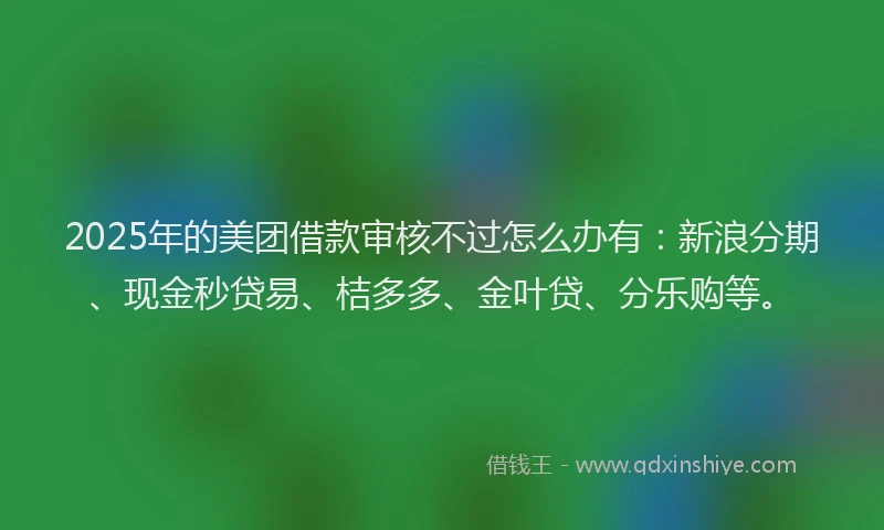 2025年的美团借款审核不过怎么办有：新浪分期、现金秒贷易、桔多多、金叶贷、分乐购等。