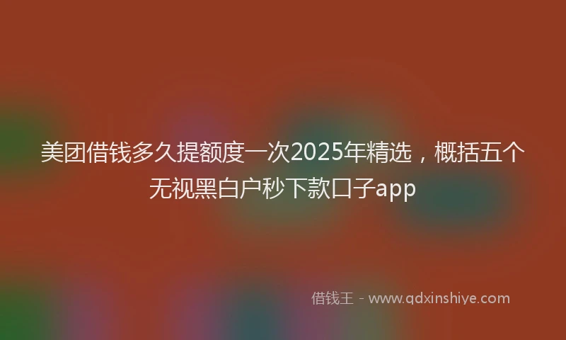 美团借钱多久提额度一次2025年精选，概括五个无视黑白户秒下款口子app