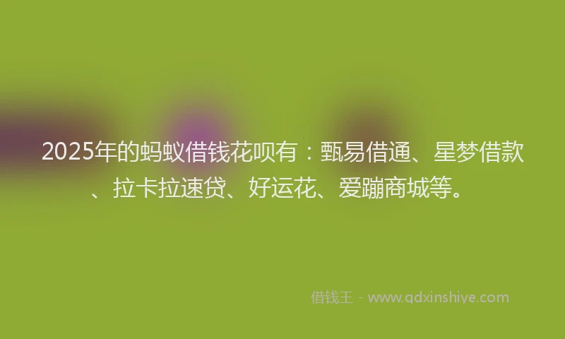 2025年的蚂蚁借钱花呗有：甄易借通、星梦借款、拉卡拉速贷、好运花、爱蹦商城等。