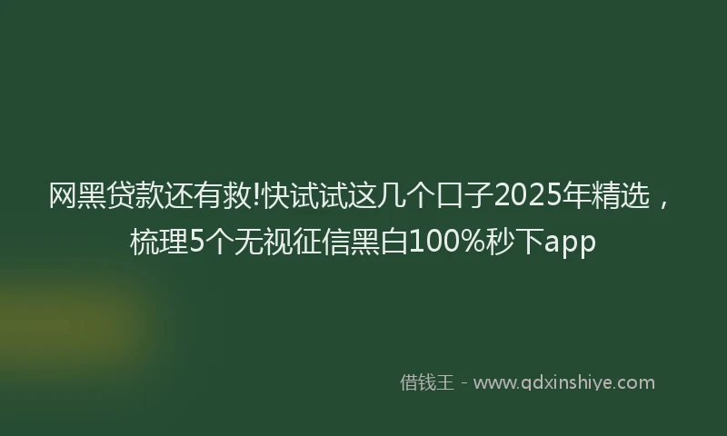 网黑贷款还有救!快试试这几个口子2025年精选，梳理5个无视征信黑白100%秒下app
