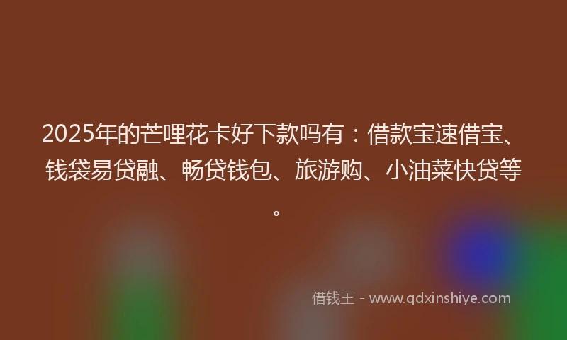 2025年的芒哩花卡好下款吗有：借款宝速借宝、钱袋易贷融、畅贷钱包、旅游购、小油菜快贷等。