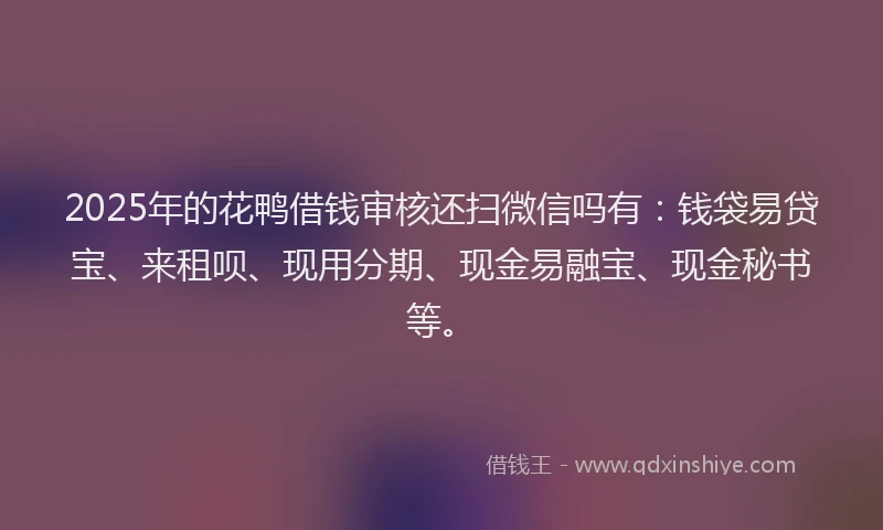 2025年的花鸭借钱审核还扫微信吗有：钱袋易贷宝、来租呗、现用分期、现金易融宝、现金秘书等。