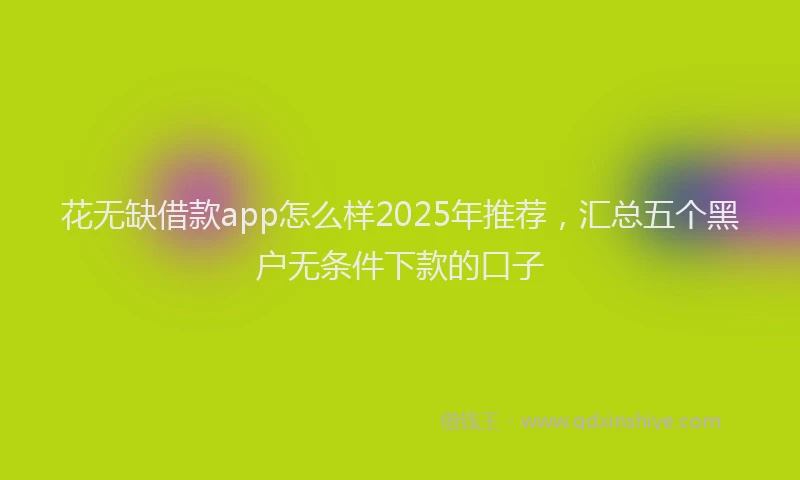 花无缺借款app怎么样2025年推荐，汇总五个黑户无条件下款的口子