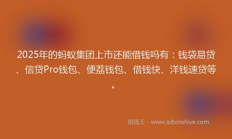2025年的蚂蚁集团上市还能借钱吗有：钱袋易贷、信贷Pro钱包、便荔钱包、借钱快、洋钱速贷等。