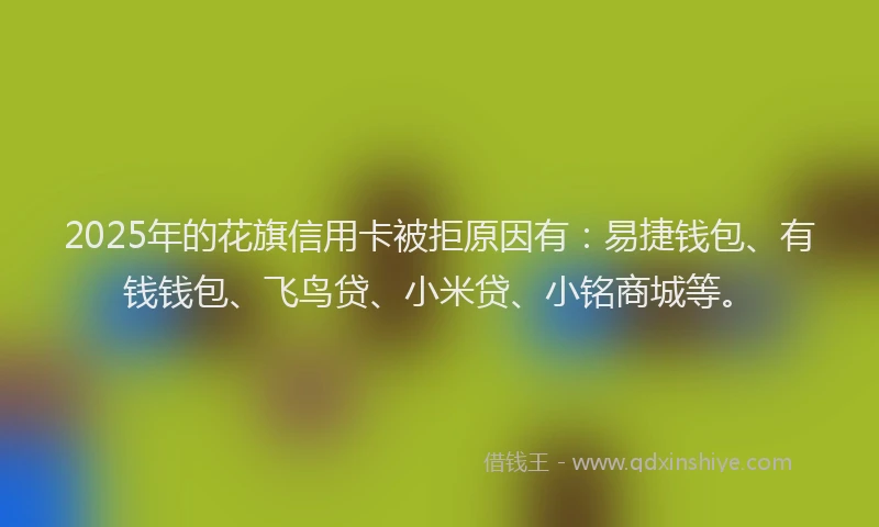 2025年的花旗信用卡被拒原因有：易捷钱包、有钱钱包、飞鸟贷、小米贷、小铭商城等。