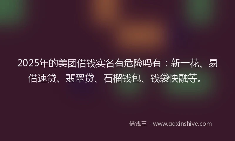 2025年的美团借钱实名有危险吗有：新一花、易借速贷、翡翠贷、石榴钱包、钱袋快融等。