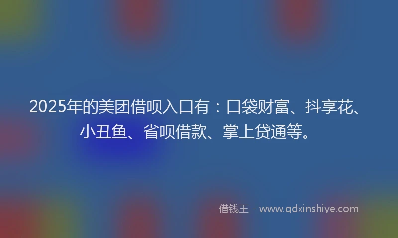 2025年的美团借呗入口有：口袋财富、抖享花、小丑鱼、省呗借款、掌上贷通等。