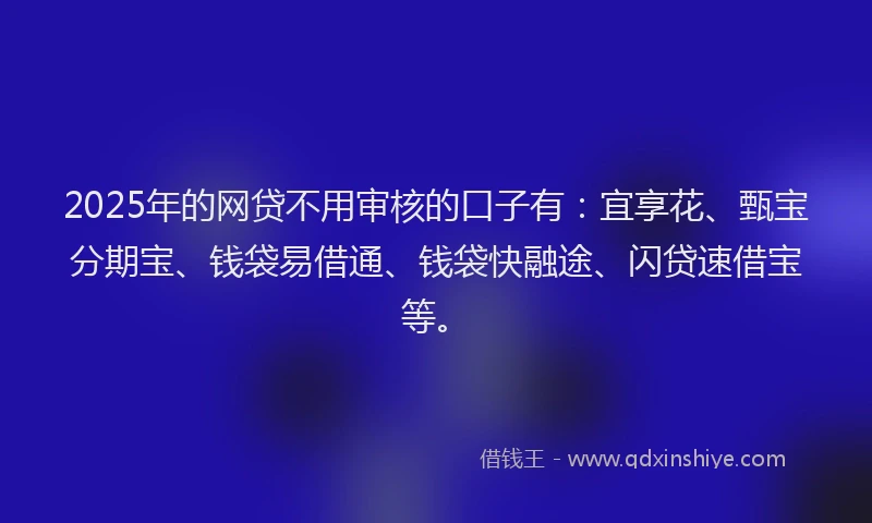 2025年的网贷不用审核的口子有：宜享花、甄宝分期宝、钱袋易借通、钱袋快融途、闪贷速借宝等。