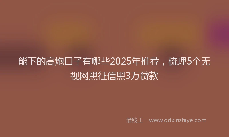 能下的高炮口子有哪些2025年推荐，梳理5个无视网黑征信黑3万贷款