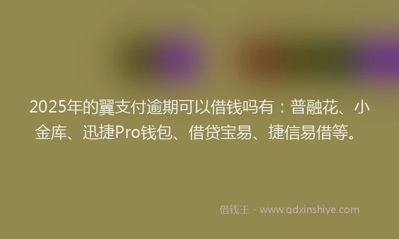 2025年的翼支付逾期可以借钱吗有：普融花、小金库、迅捷Pro钱包、借贷宝易、捷信易借等。