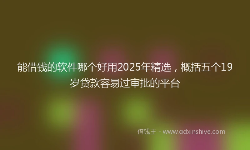 能借钱的软件哪个好用2025年精选，概括五个19岁贷款容易过审批的平台