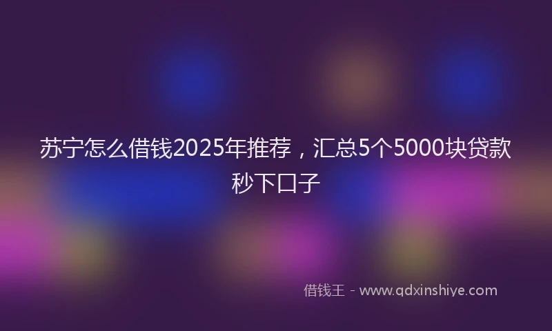 苏宁怎么借钱2025年推荐，汇总5个5000块贷款秒下口子
