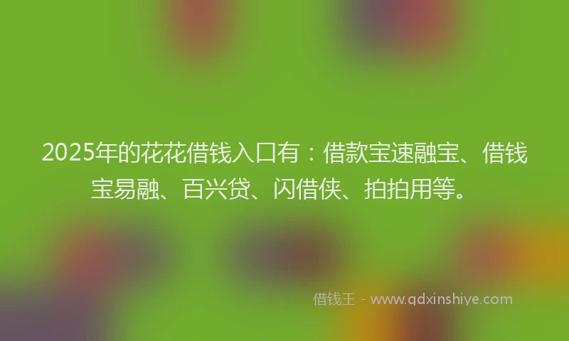 2025年的花花借钱入口有：借款宝速融宝、借钱宝易融、百兴贷、闪借侠、拍拍用等。