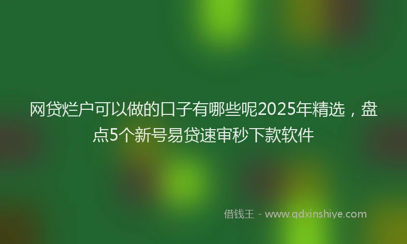网贷烂户可以做的口子有哪些呢2025年精选，盘点5个新号易贷速审秒下款软件