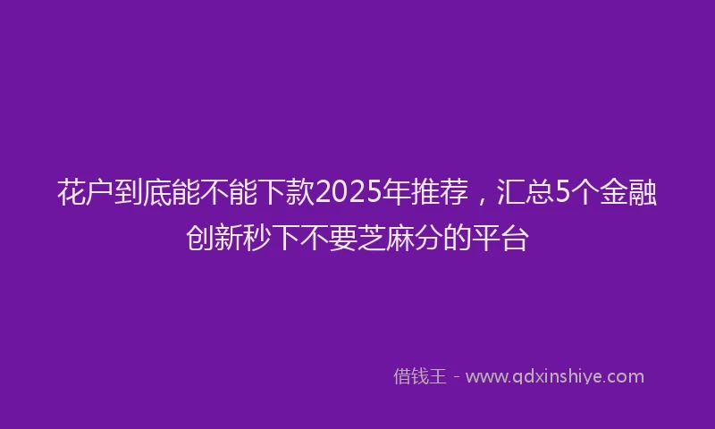 花户到底能不能下款2025年推荐，汇总5个金融创新秒下不要芝麻分的平台
