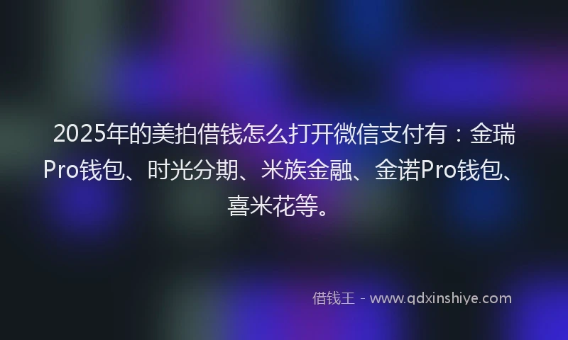 2025年的美拍借钱怎么打开微信支付有：金瑞Pro钱包、时光分期、米族金融、金诺Pro钱包、喜米花等。