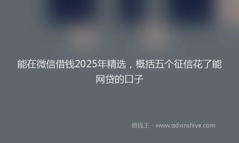 能在微信借钱2025年精选，概括五个征信花了能网贷的口子