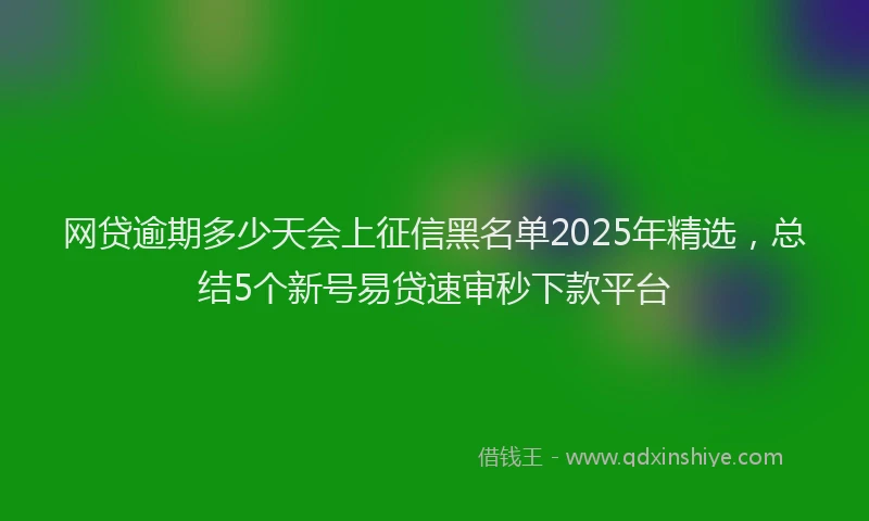 网贷逾期多少天会上征信黑名单2025年精选，总结5个新号易贷速审秒下款平台