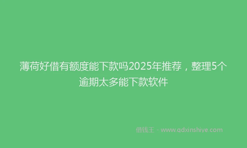 薄荷好借有额度能下款吗2025年推荐，整理5个逾期太多能下款软件