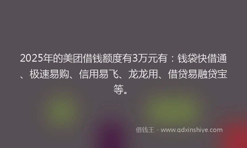 2025年的美团借钱额度有3万元有：钱袋快借通、极速易购、信用易飞、龙龙用、借贷易融贷宝等。