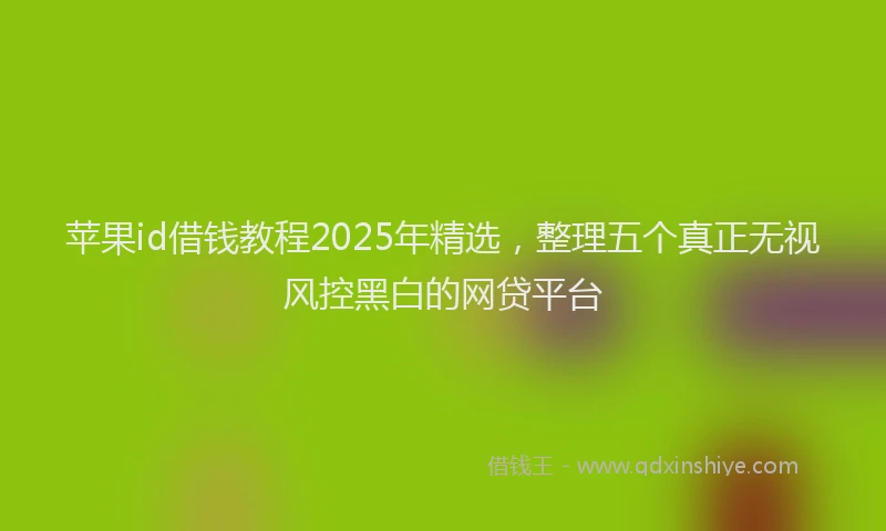 苹果id借钱教程2025年精选，整理五个真正无视风控黑白的网贷平台