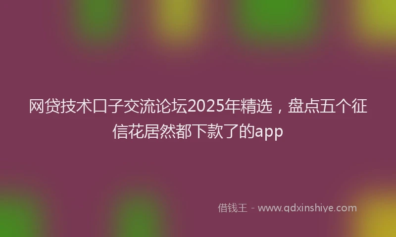 网贷技术口子交流论坛2025年精选，盘点五个征信花居然都下款了的app
