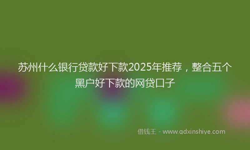 苏州什么银行贷款好下款2025年推荐，整合五个黑户好下款的网贷口子