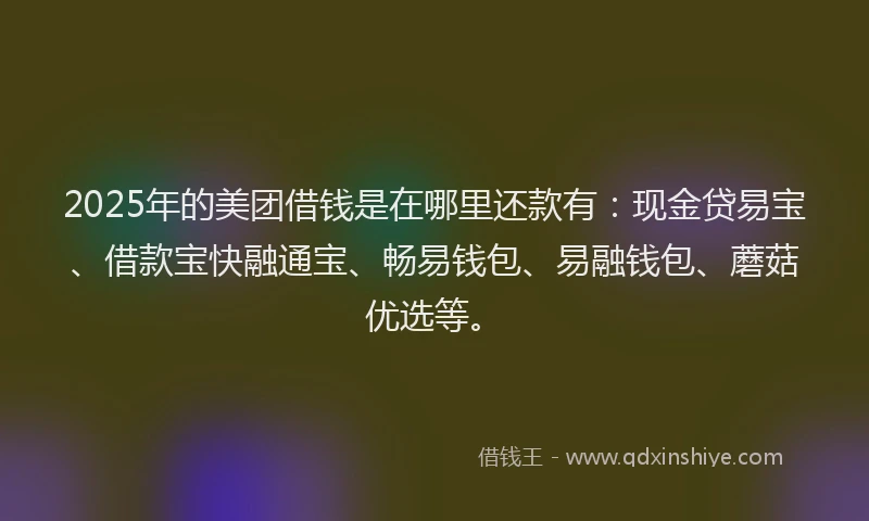 2025年的美团借钱是在哪里还款有：现金贷易宝、借款宝快融通宝、畅易钱包、易融钱包、蘑菇优选等。