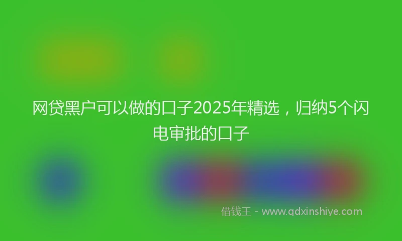 网贷黑户可以做的口子2025年精选，归纳5个闪电审批的口子