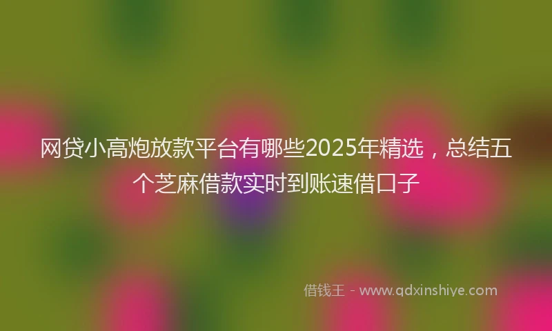 网贷小高炮放款平台有哪些2025年精选，总结五个芝麻借款实时到账速借口子