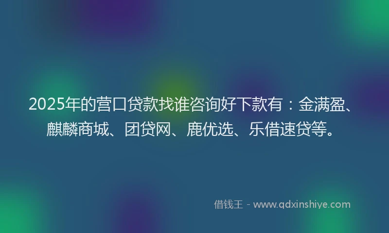 2025年的营口贷款找谁咨询好下款有：金满盈、麒麟商城、团贷网、鹿优选、乐借速贷等。