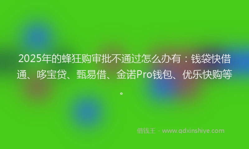 2025年的蜂狂购审批不通过怎么办有：钱袋快借通、哆宝贷、甄易借、金诺Pro钱包、优乐快购等。