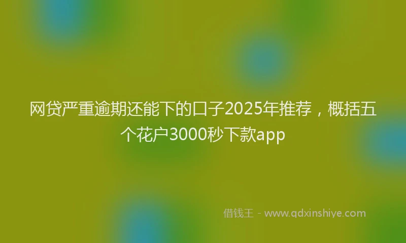 网贷严重逾期还能下的口子2025年推荐，概括五个花户3000秒下款app