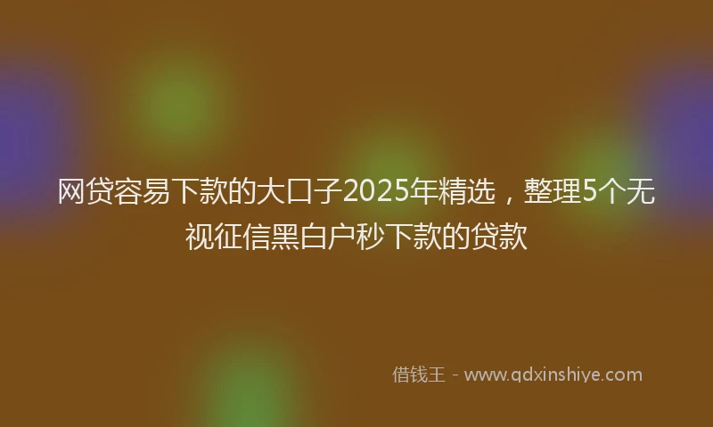 网贷容易下款的大口子2025年精选，整理5个无视征信黑白户秒下款的贷款