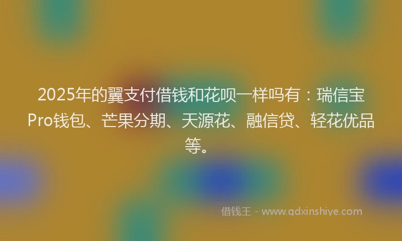 2025年的翼支付借钱和花呗一样吗有：瑞信宝Pro钱包、芒果分期、天源花、融信贷、轻花优品等。