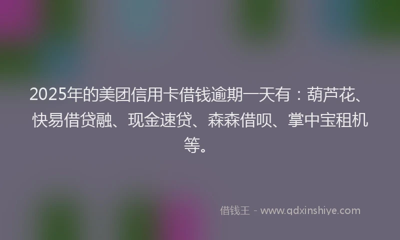 2025年的美团信用卡借钱逾期一天有：葫芦花、快易借贷融、现金速贷、森森借呗、掌中宝租机等。