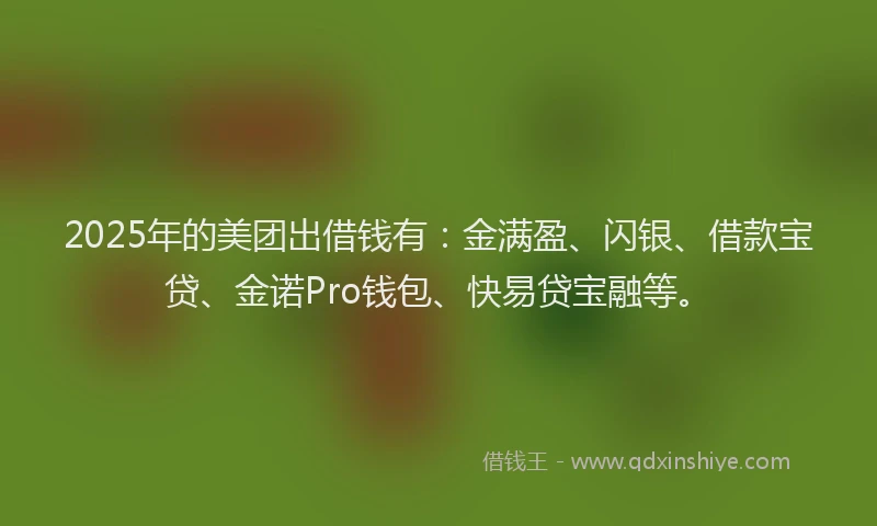 2025年的美团出借钱有：金满盈、闪银、借款宝贷、金诺Pro钱包、快易贷宝融等。