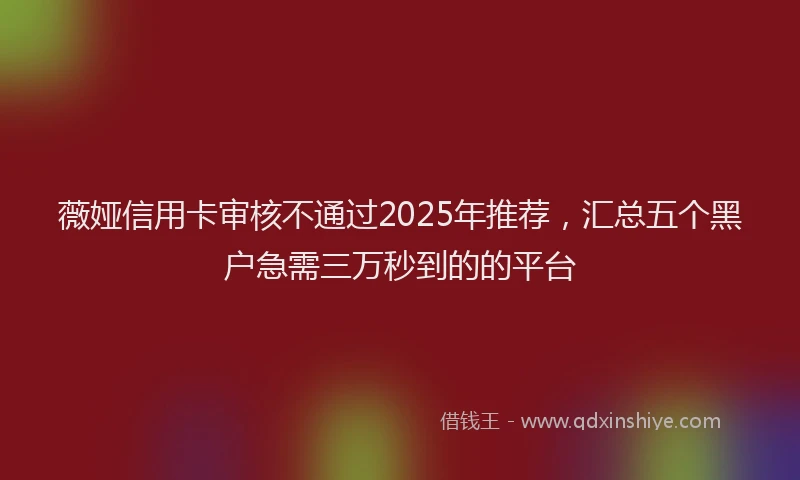 薇娅信用卡审核不通过2025年推荐，汇总五个黑户急需三万秒到的的平台