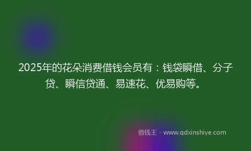 2025年的花朵消费借钱会员有：钱袋瞬借、分子贷、瞬信贷通、易速花、优易购等。